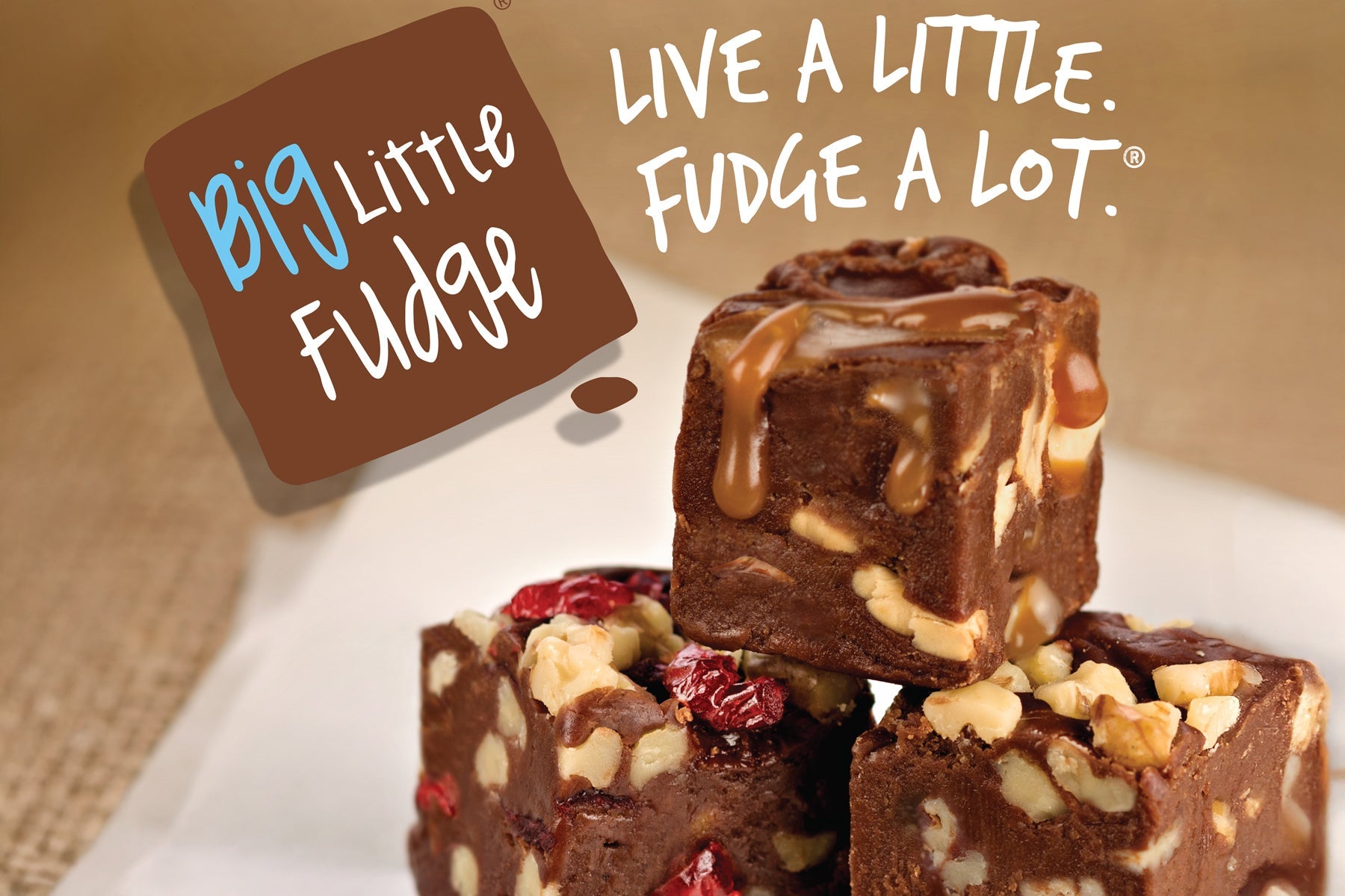 Sweet Shop USA Big Little Fudge Logo Image